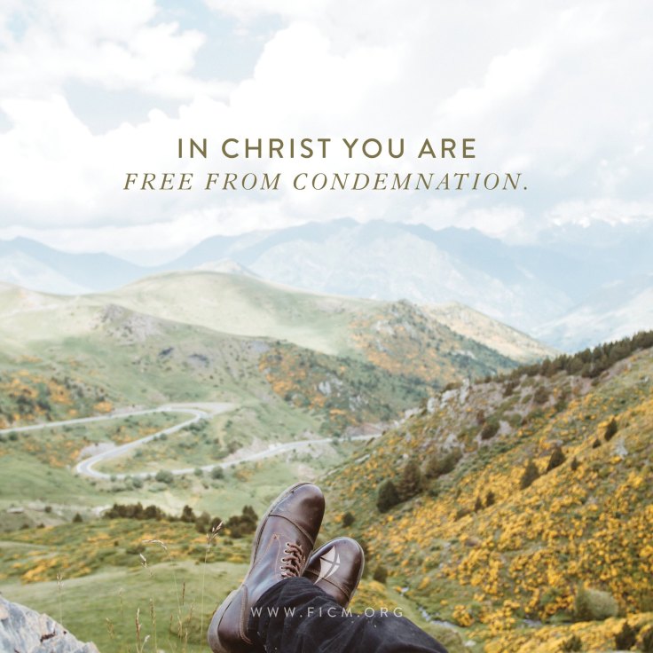 18814764_1463676463689947_3297263951625763290_o